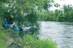 River Thames fishing.jpg